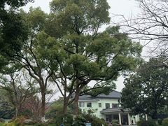 -浙江西子宾馆·瑶园咖啡厅