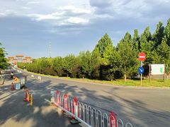 -北京西山国家森林公园