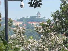 -青岛德国总督楼旧址博物馆