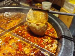 鲜毛肚-陈眼镜火锅(总店)