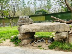 -上海野生动物园