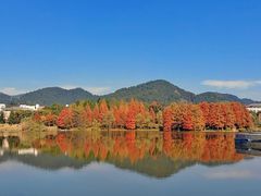 -浙江农林大学(东湖校区)