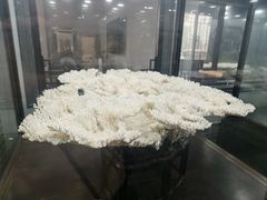 -游龙石文化科普馆