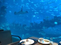 -海棠湾洲际-涛·海底餐厅·美人鱼·自助餐·海底隧道