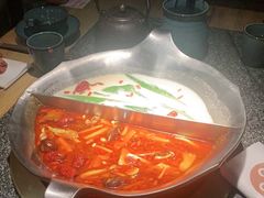 -湊湊火锅·茶憩(郑州绿地新都会店)