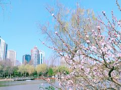 -新虹桥中心花园