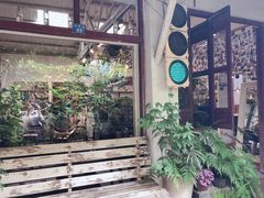 -植觉