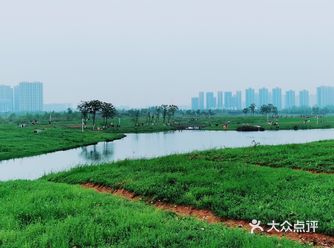 春天怎可不出去野餐煮茶呢？