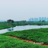 春天怎可不出去野餐煮茶呢？