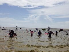 -碧海金沙