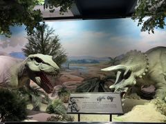 -国家自然博物馆