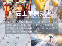 -阿露佳·舌尖上的安吉菜