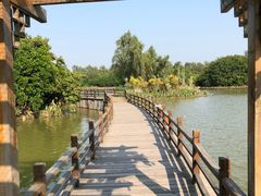 -大湾区中央湿地公园