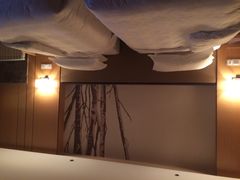 金方森林温泉(金方森林温泉半山酒店)-金方森林温泉