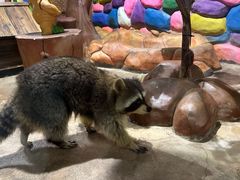 -顺德南宏海立方海洋公园