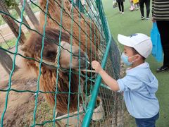 -大连铭湖国际观光牧场