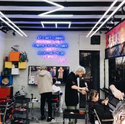 -SALON V