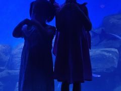-石家庄海洋公园