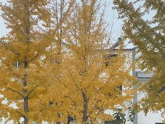 -云龙湖旅游景区