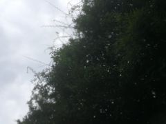 -左撇子私房面