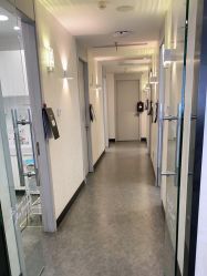 -上海玫瑰医疗美容医院