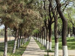 -汉长安城未央宫国家考古遗址公园