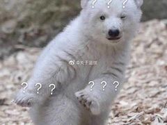 -瑞幸咖啡(杭州绿地中央店)