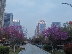 -迪卡侬(明光路店)