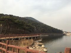 -徂徕山森林康养度假谷温泉
