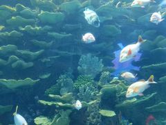 -泉城欧乐堡海洋极地世界