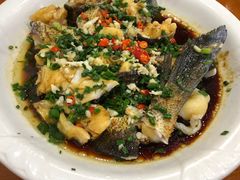 -全乐鱼馆·淳牌有机鱼直营店