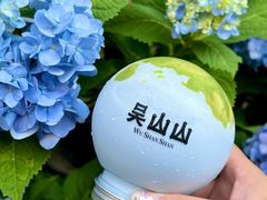 -吴山山·椰子酸奶(天河南店)