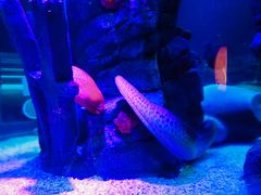 -沈阳海洋探索中心