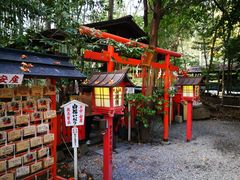 -野宫神社