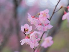 -福清灵石山国家森林公园