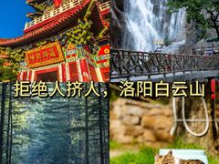 -洛阳白云山景区