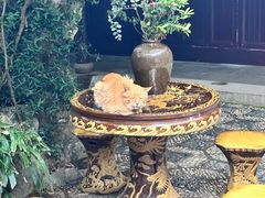 -西园戒幢律寺