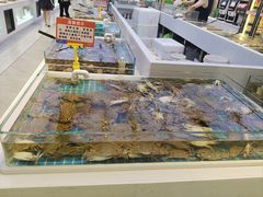 -集品鲜湾·蒸汽海鲜自助料理(青岛银座和谐广场店)