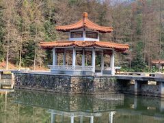 -深圳仙湖植物园