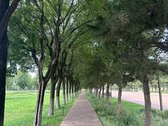 -汉长安城未央宫国家考古遗址公园