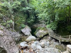 -牛背梁国家森林公园