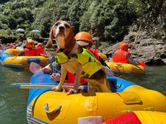-安吉龙王山峡谷漂流