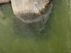 -绍兴东湖风景区