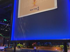 -blue frog蓝蛙(长泰广场店)