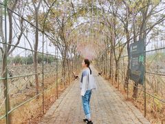-扬州天乐湖嬉乐谷