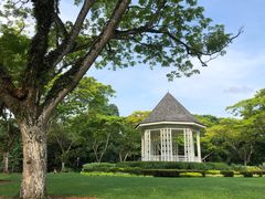 景点-新加坡植物园