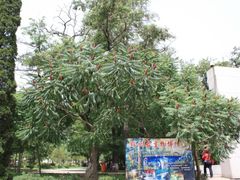 -辽沈战役纪念馆