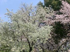 -阅江楼风景区