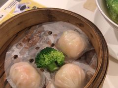 -虾饺妹·酒家(金碧店)