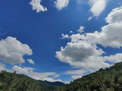-野象谷景区